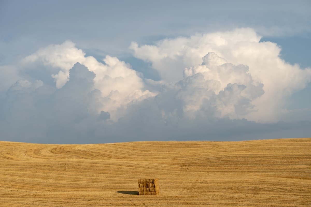 Cover Photo