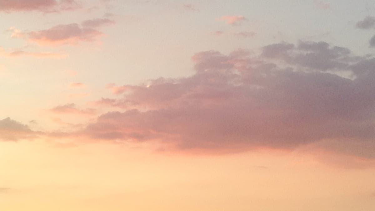 Cover Photo