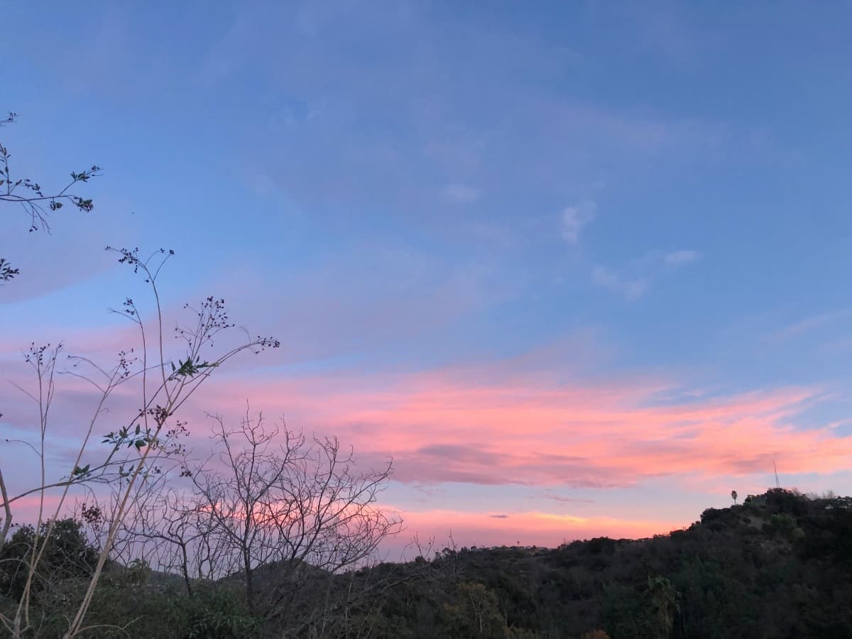 Cover Photo
