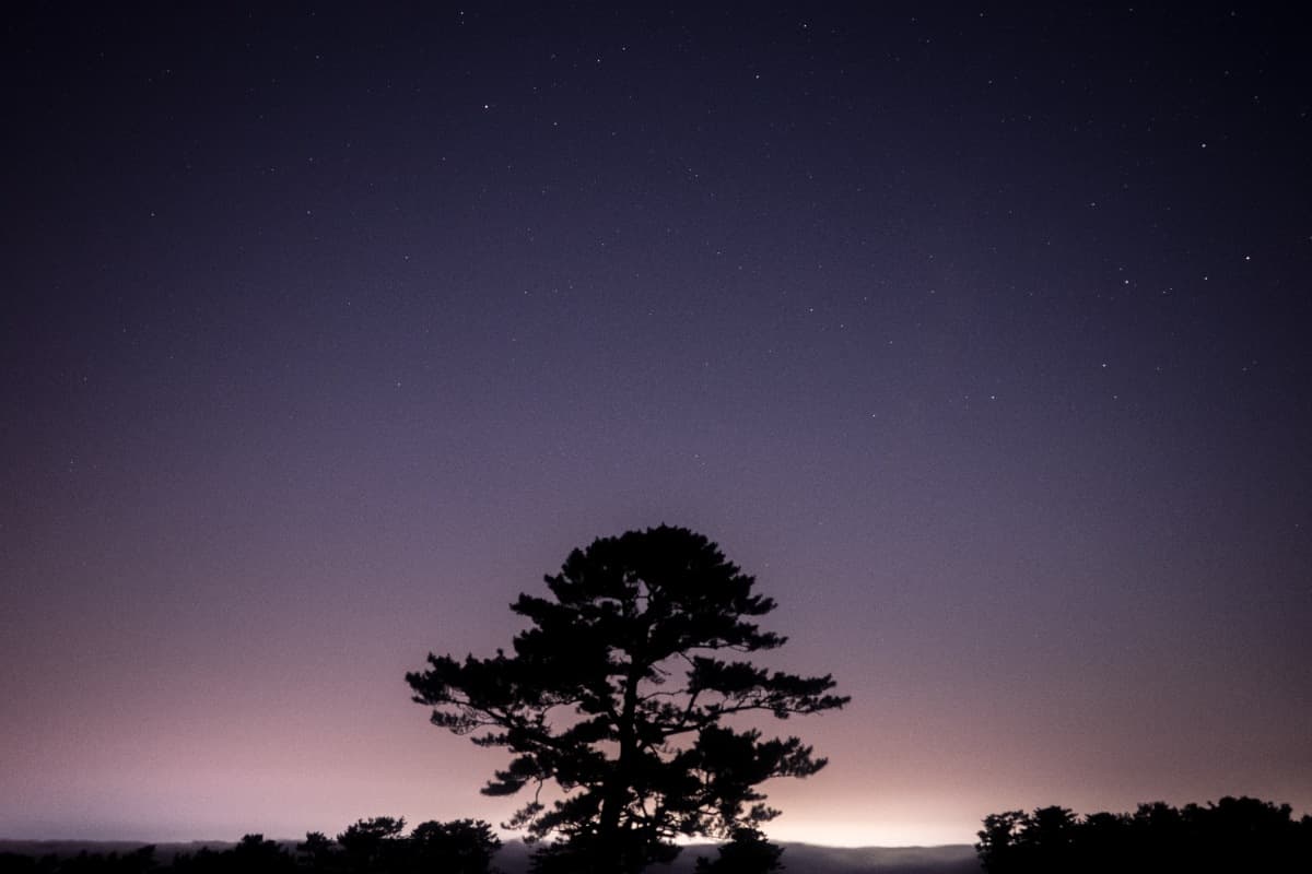 Cover Photo
