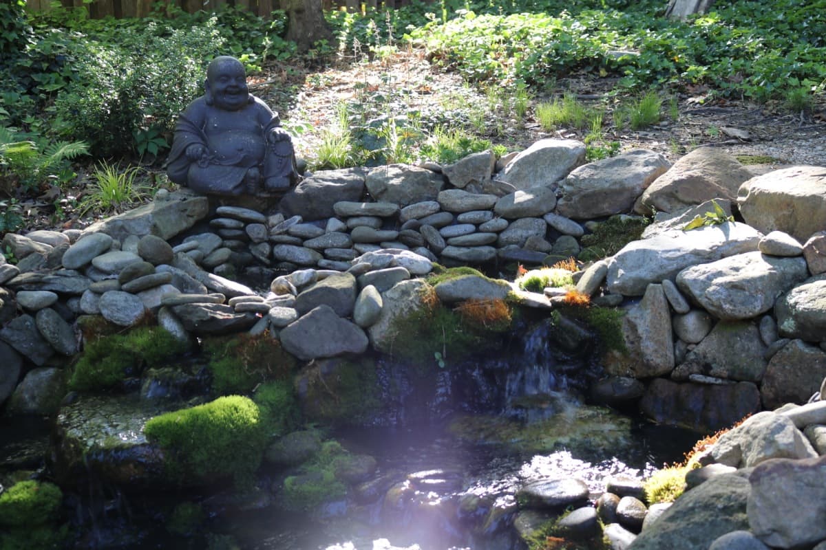 Cover Photo