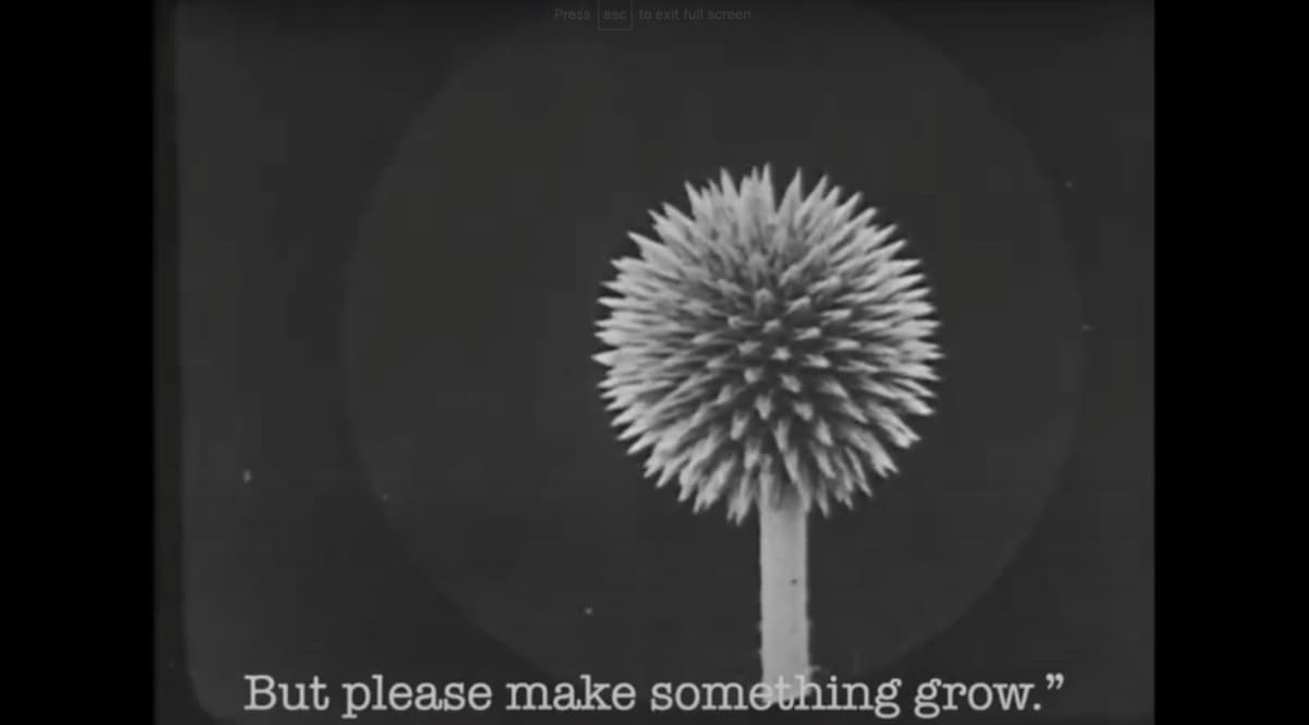 Cover Photo