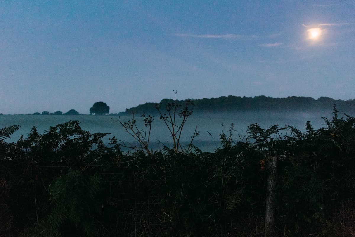 Cover Photo
