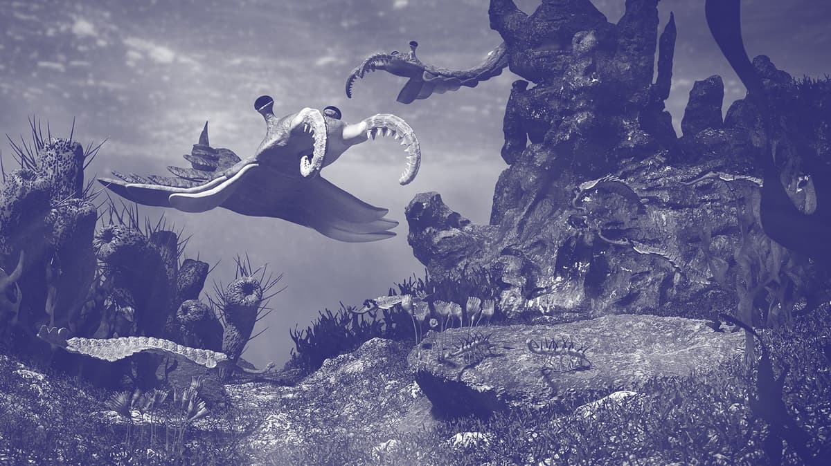 Cover Photo