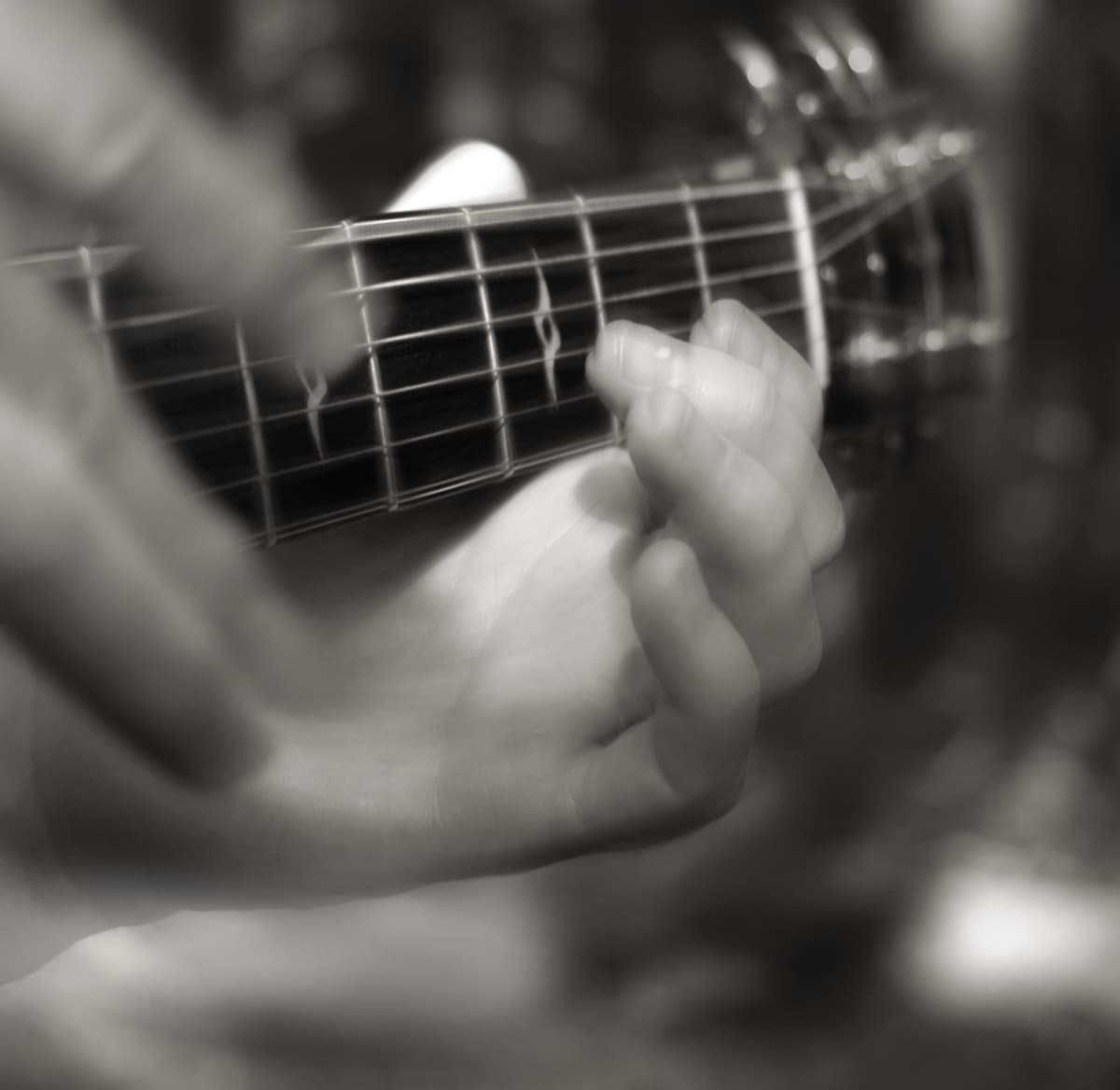 Cover Photo
