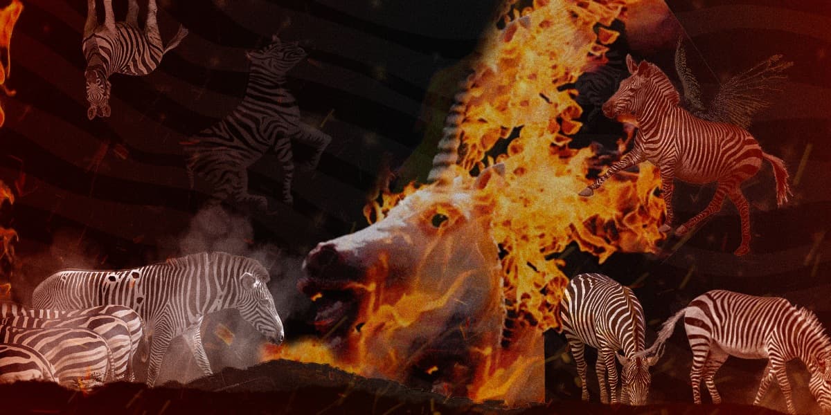 Cover Photo