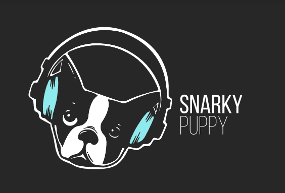 Snarky Puppy
