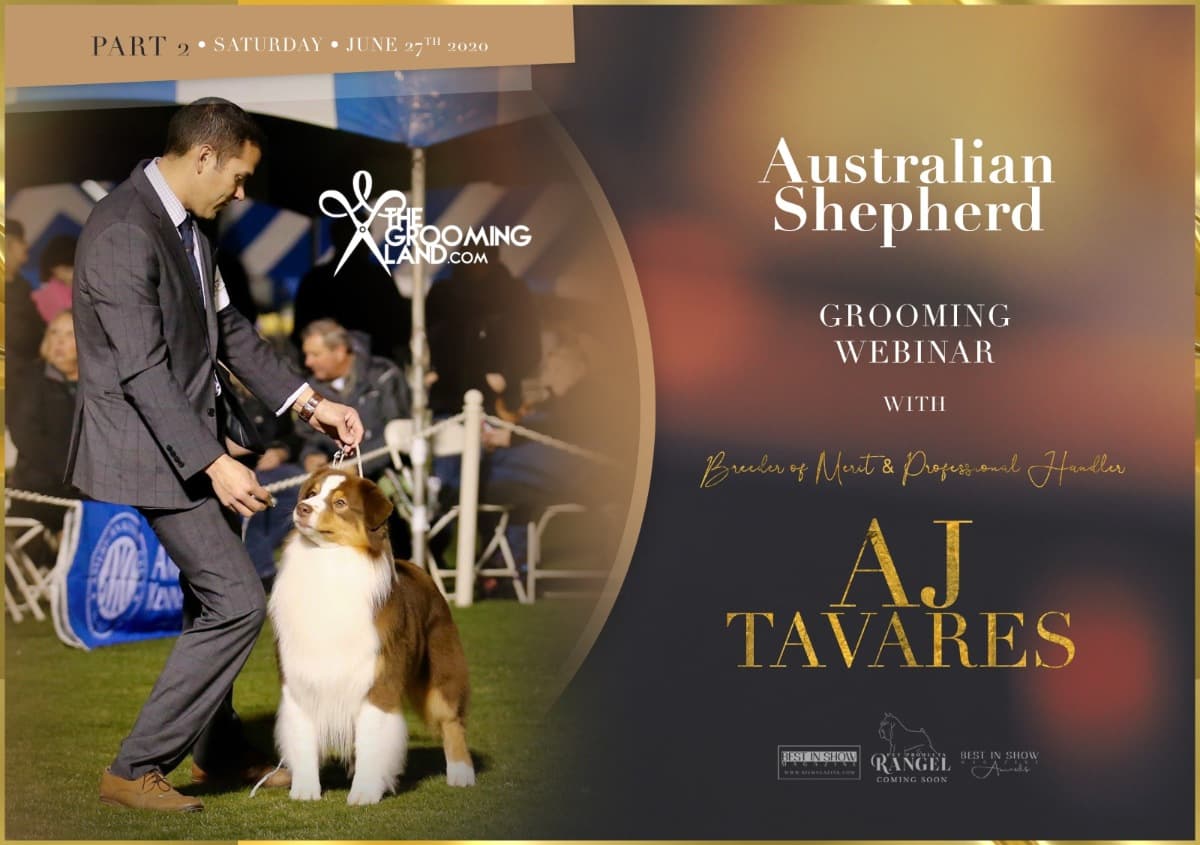 Cover Photo
