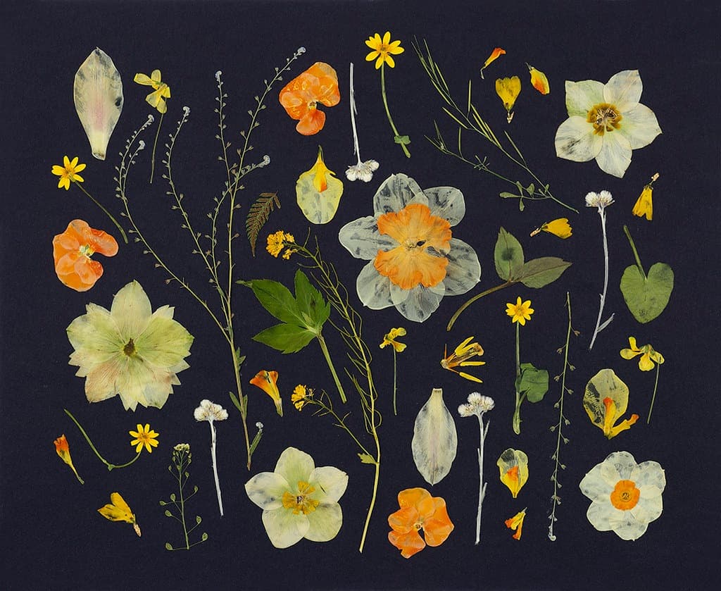 Cover Photo
