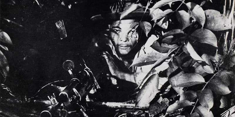 Cover Photo