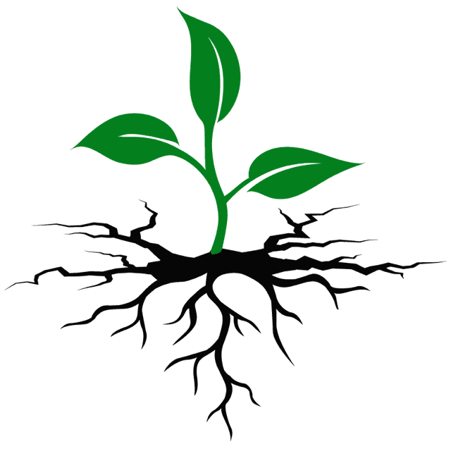 Permaculture Action Network