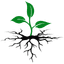 Permaculture Action Network