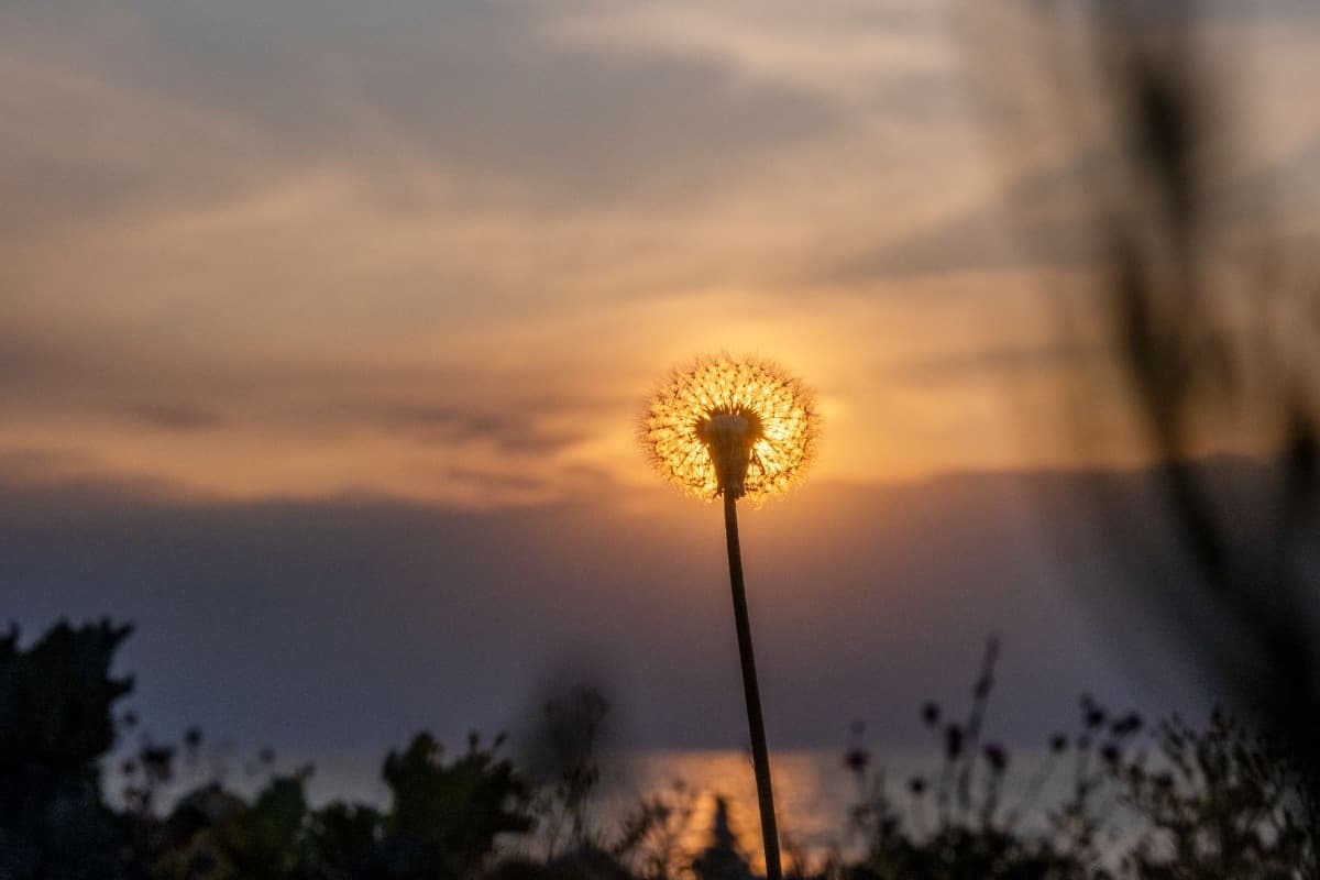 Cover Photo