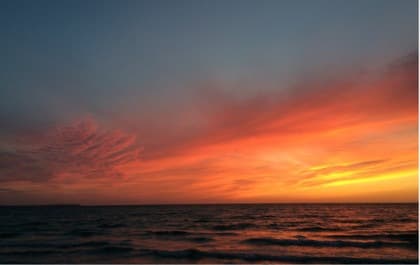 Cover Photo