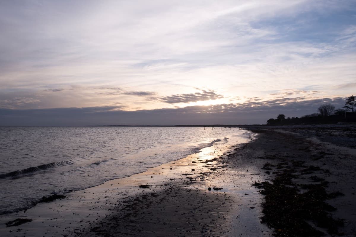 Cover Photo
