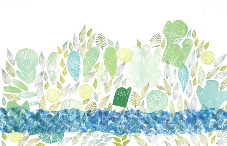 Cover Photo