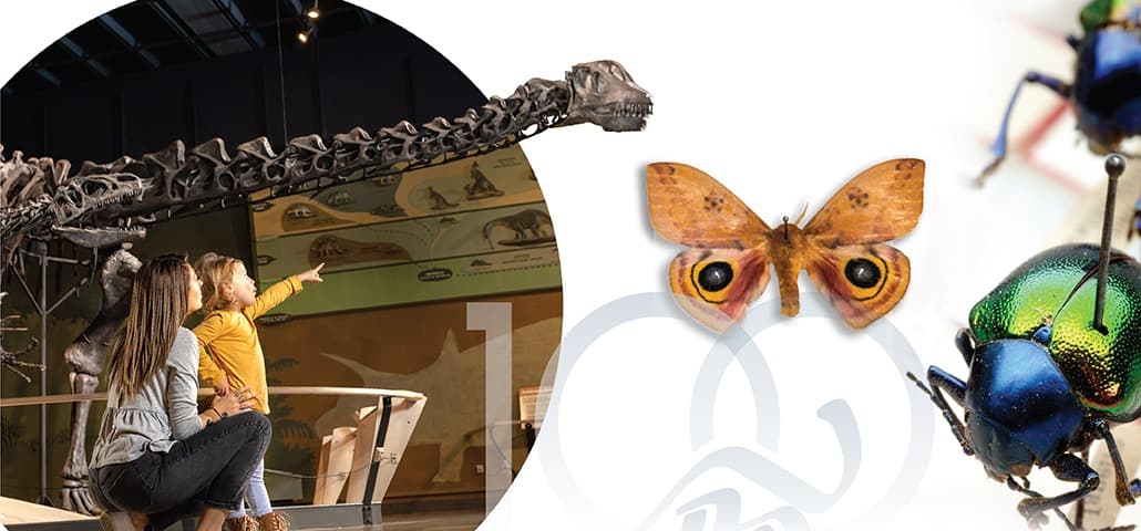 Cover Photo