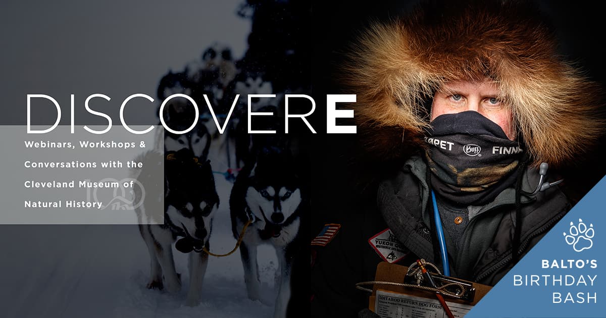 Cover Photo