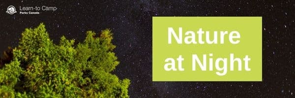 Cover Photo