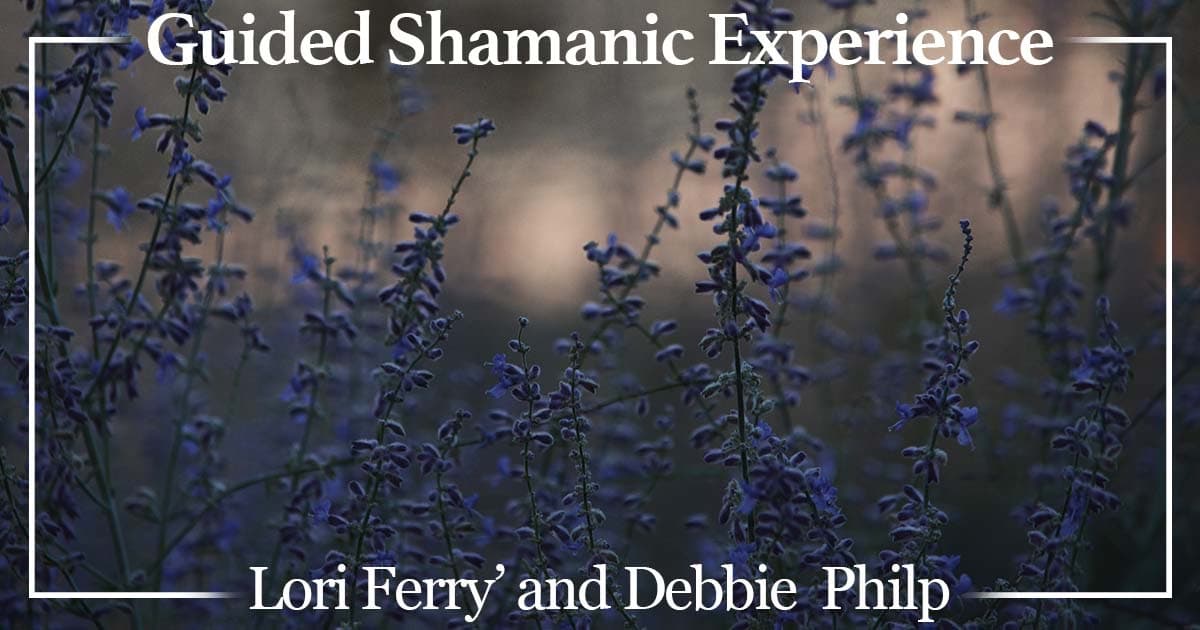 Cover Photo