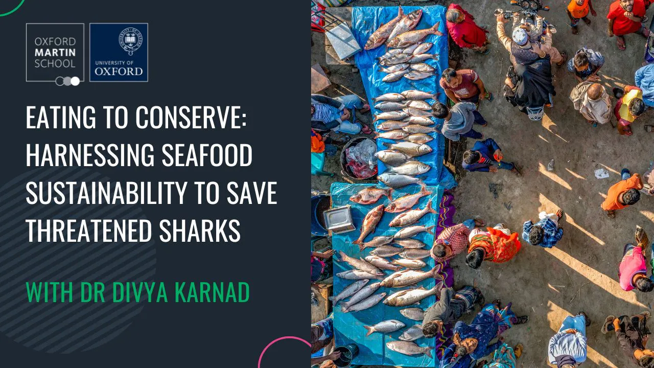 Eating to conserve: harnessing seafood sustainability to save threatened sharks with Dr Divya Karnad event cover photo